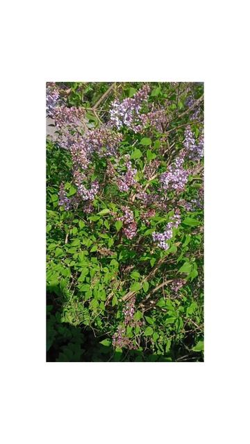 Майские итоги🌸