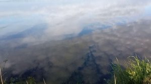 31.05.26