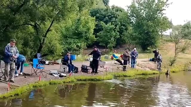 31.05.26 г. РК Волна. смотреть онлайн