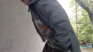 скейт