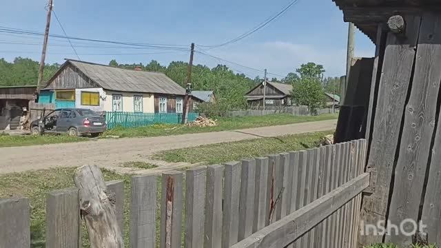Ох и рожа , солнышко меня любит. Козы огород и всё о посадках. смотреть онлайн