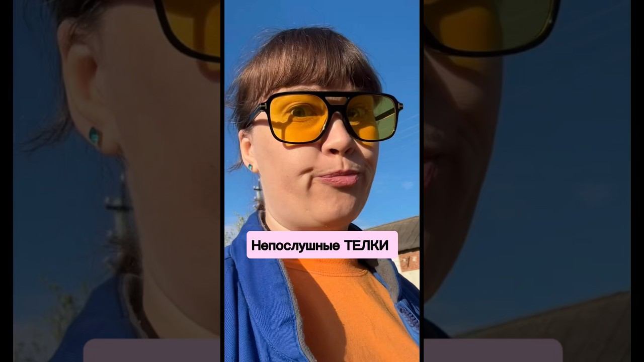 Непослушные ТЕЛКИ