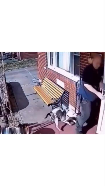 Спас бродягу смотреть онлайн