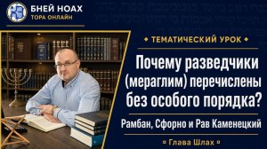 Почему разведчики (мераглим) перечислены без особого порядка? Рамбан, Сфорно и Рав Каменецкий
