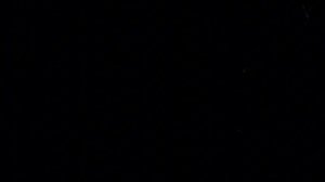 Five nights at Lotkov