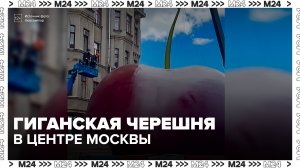 Гигантская черешня появилась на Старом Арбате в Москве - Москва 24