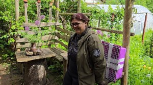 Дождливый денёк, цветы в бочке и досужий разговор