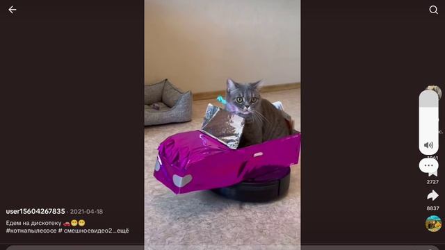 хз что писать смотреть онлайн