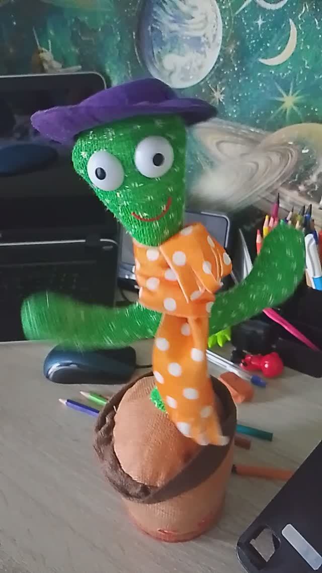 ну кактус сигма смотреть онлайн