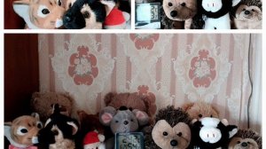 бурная молодость игрушек