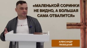 «Маленькой грязинки не видно, а большая сама отвалится» | Александр Любецкий