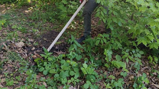 VID_20260531_174918