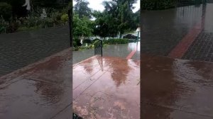 с праздником Святой Троицы 🌿,а у нас идёт дождик 🌧️