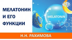 Гормон мелатонин и его функции