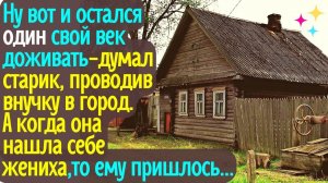 Ну вот и остался один свой век доживать - думал старик, проводив внучку в город. А когда она нашла