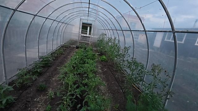 Ловили чудище. Праздничный шашлык и начало сезона.