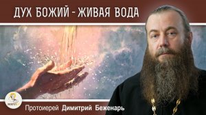 ДУХ БОЖИЙ - ЖИВАЯ ВОДА. Протоиерей Димитрий Беженарь