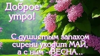 Доброе утро уходящей весны! Встречаем лето. Самая лучшая музыкальная открытка.