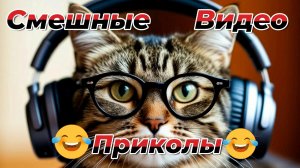 Смешные видео приколы|Коты и собаки