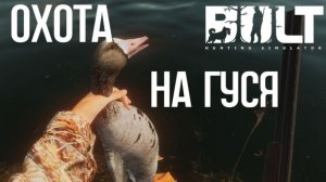 Охота на гуся в BULT