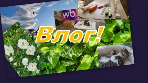 ВЛОГ: НЕМНОЖКО ИЗ ЖИЗНИ (ЧТО ВЗЯЛА С СОБОЙ, ПОКУПКИ, ПОДАРКИ)...