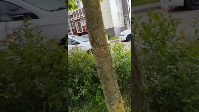 нашли кость смотреть онлайн