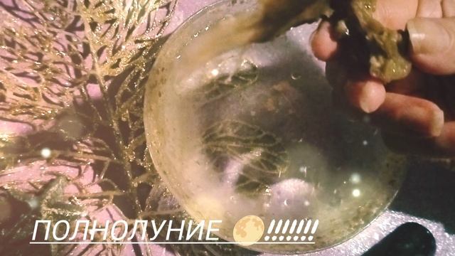Полнолуние 🌕!!!!