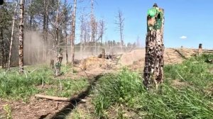 Подготовка штурмовиков в ЛНР