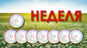 Неделя. Звёздные Новости