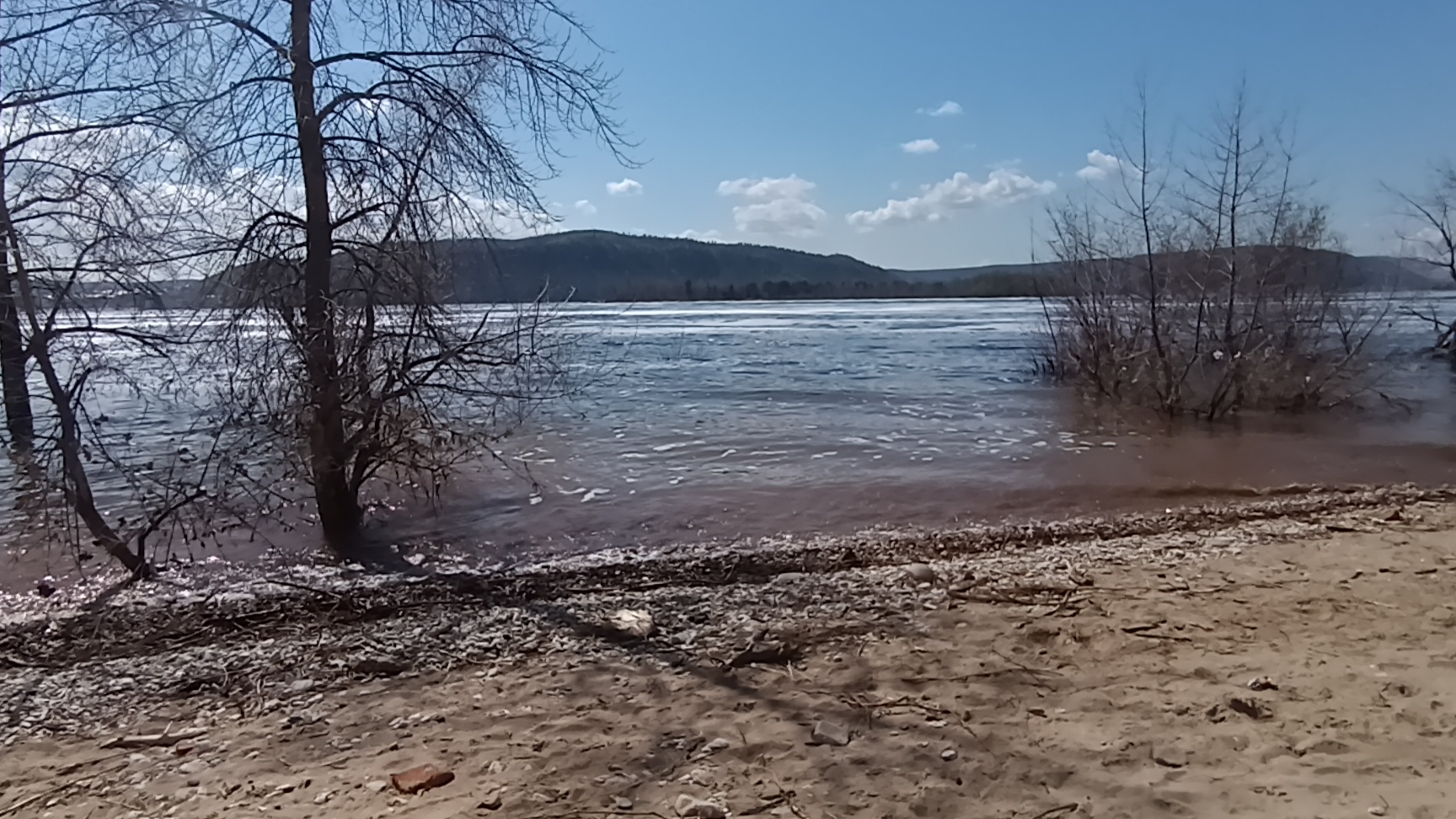 рыба палка