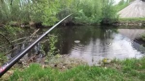 КЛЁВ НА КАЖДОМ ЗАБРОСЕ! РЫБАЛКА НА ПОПЛАВОЧНУЮ УДОЧКУ. ЛОВЛЯ ЛЕЩа