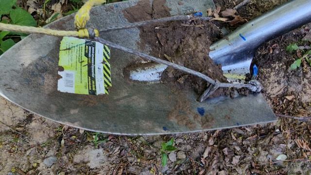 VID_20260531_174956
