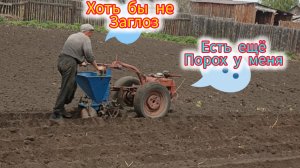 Как посадить картошку картофелесажалкой,мотоблок МТЗ помогает садить картошку в немаленьких объемах