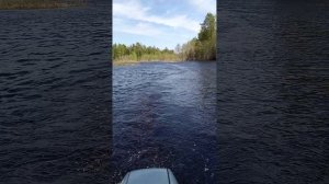 1000029305.mp4