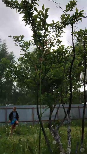 Дела