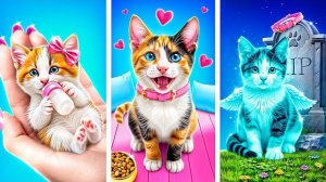 Я спасла котенка! Лайфхаки для владельцев животных
