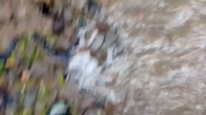 что произошло после дождя