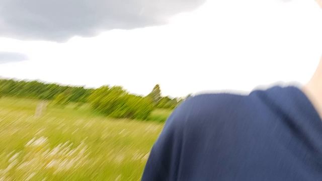 Мы слишком близко подошли к корове 😱 смотреть онлайн