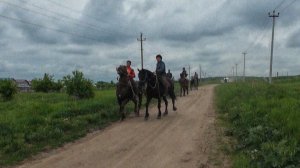 Дорога домой.