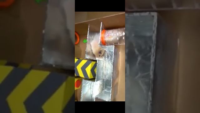 озвучиваю детские мультики смотреть онлайн