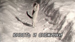 Юность и снежинки