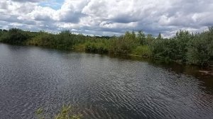 31.05.26 _2