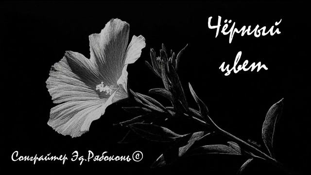 "Чёрный цвет"   Сонграйтер  Эд.Рябоконь©