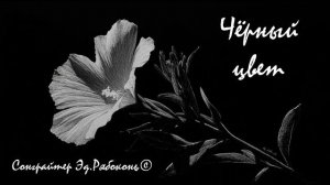 «Чёрный цвет»   Сонграйтер  Эд.Рябоконь©
