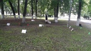 РО-3. Степанова Светлана и ЛУЧ. «Кубок Панды 2026 по Ралли Обидиенс онлайн»