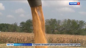 Кабардино-Балкария вошла в тройку лидеров среди регионов России по приросту бизнеса за год