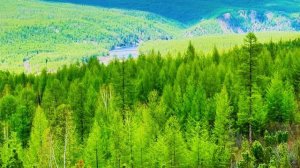 Южная Якутия…