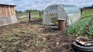 меня призывают к стыду🤫/ мои огородные дела