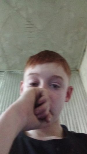 рп машин дтп