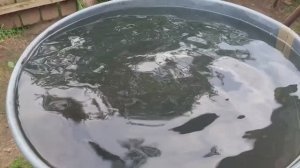 После дождя..💦